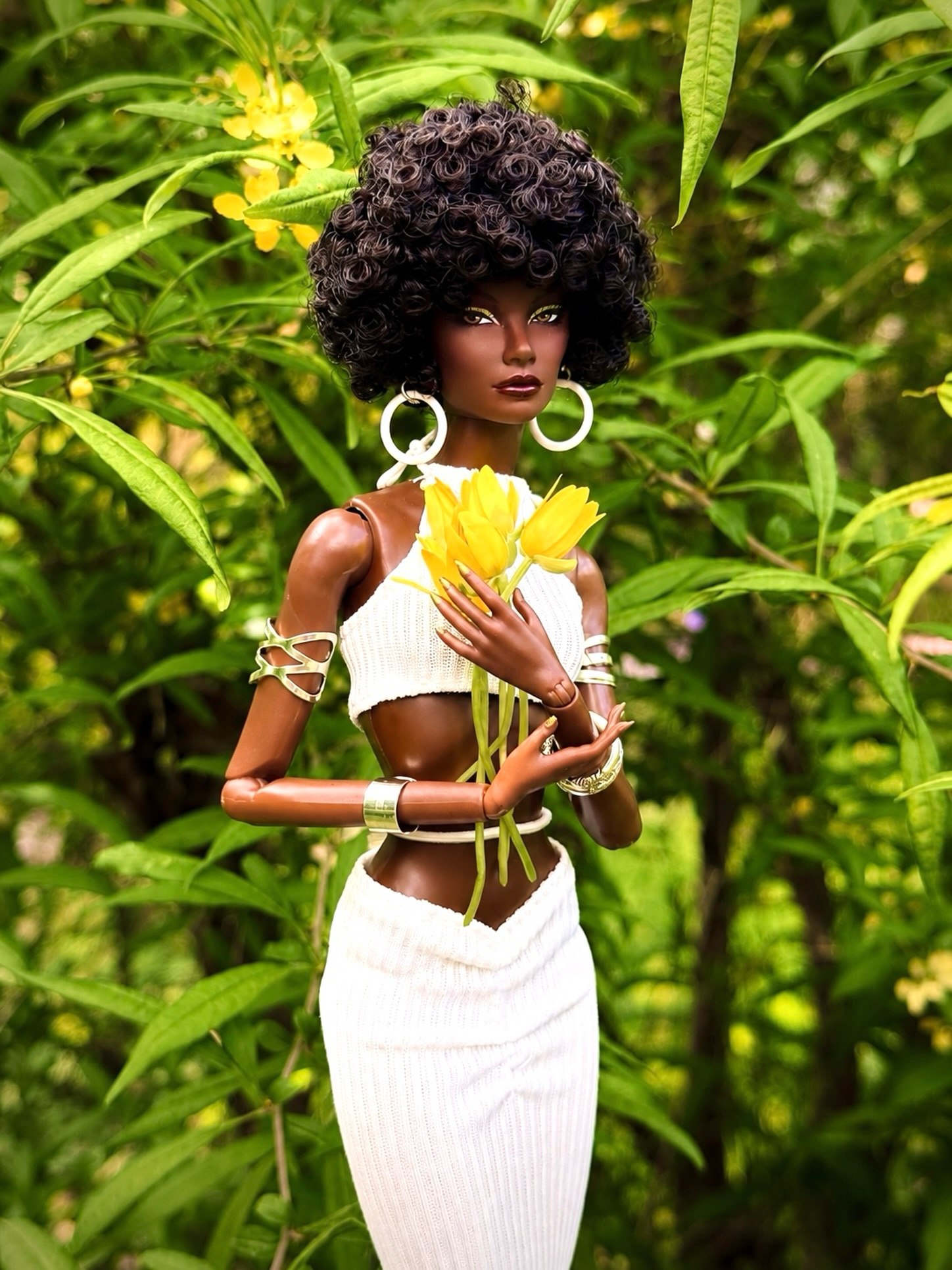 Tropical Editorial